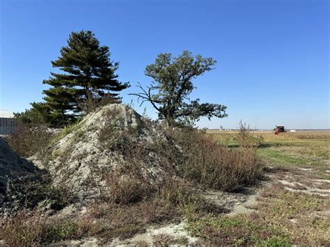 How spreading rock dust on farms could be a climate solution | Here & Now