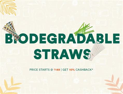 Buy Eco-Friendly Biodegradable Straws Online | ECOSOUL – ECOSOUL HOME INDIA