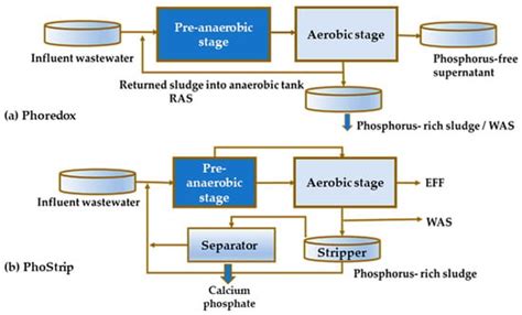 The Occurrence and Role of Tetrasphaera in Enhanced Biological ...