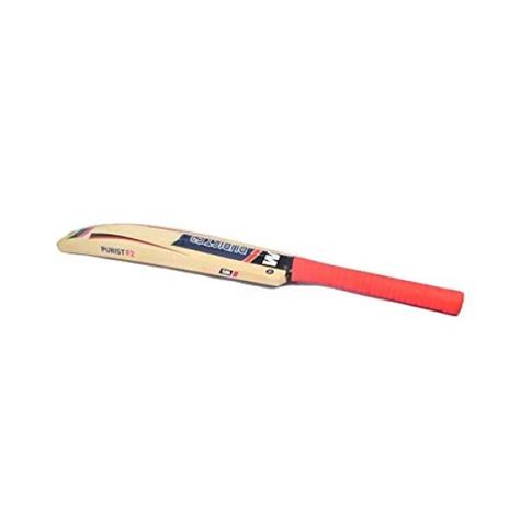 GM Purist F2 202 Kashmir Willow Cricket Bat Price in India, Specs ...
