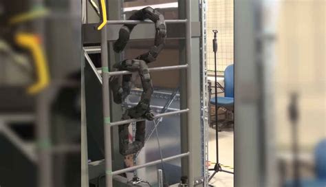 Researchers develop snake-like robot that can climb ladders | Digit