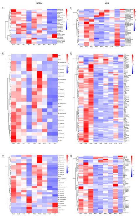 Comprehensive Transcriptomic and Metabolomic Analysis Revealed the ...