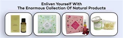 Buy Nyassa Hibiscus Conditioner 250 ml. Hibiscus extracts and Moroccan ...