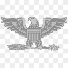 Image result for USAF Colonel Rank