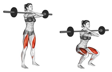 8 Best Barbell Front Squat Alternatives (With Pictures) - Inspire US