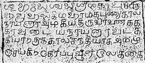 Image result for Tamil Script Writing