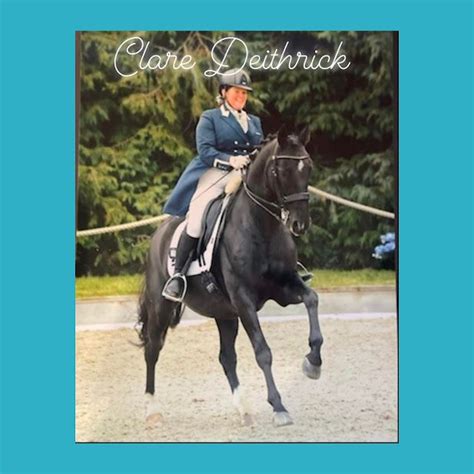 Poldice Clare Deithrick Clinic , Poldice Valley Equine and Events Arena ...