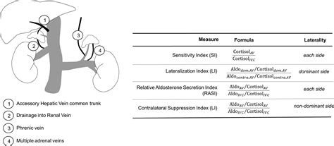 Unilaterally Successful Adrenal Vein Sampling: Use or Repeat? | Hypertension