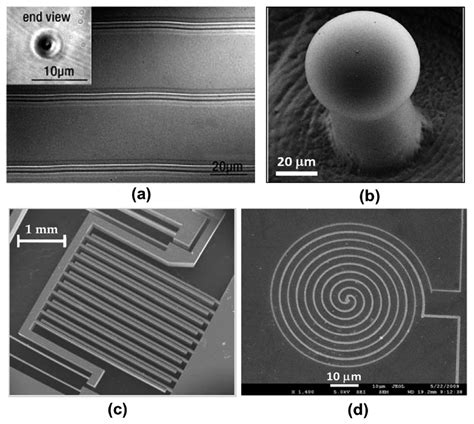 Femtosecond Laser Fabrication of Monolithically Integrated Microfluidic ...