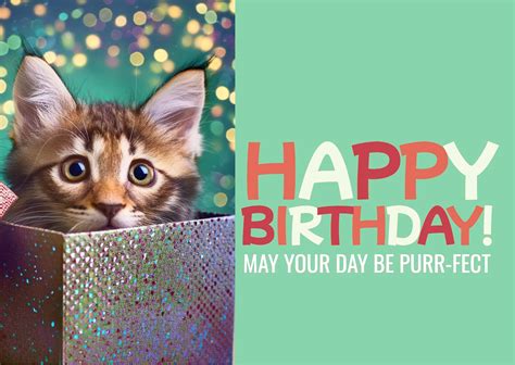 Kitten Happy Birthday Greeting Free Stock Photo - Public Domain Pictures