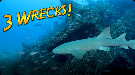 Jonathan Bird's Blue World: Exploring Three Shipwrecks Off Riviera ...