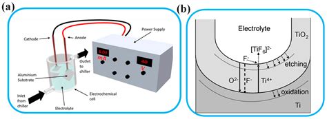 Recent Progress in the Fabrication of Photonic Crystals Based on Porous ...