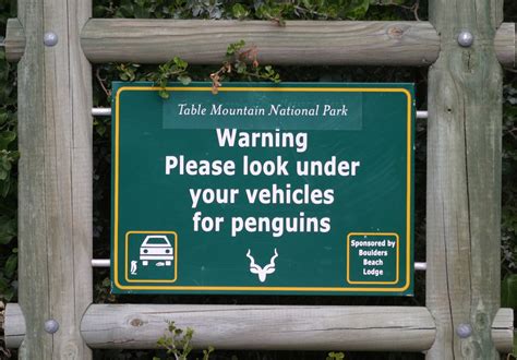 Image result for Politeness Definition