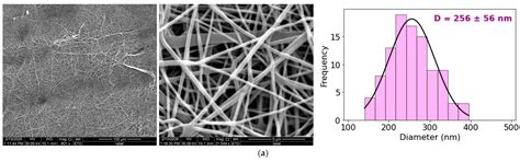 The Effect of the Extraction Medium (A Natural Deep Eutectic Solvent ...