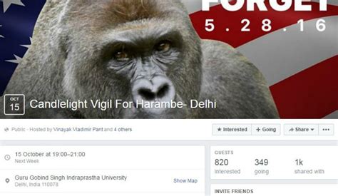 Delhi Is Organising A Candlelight Vigil For Harambe, Because Better ...