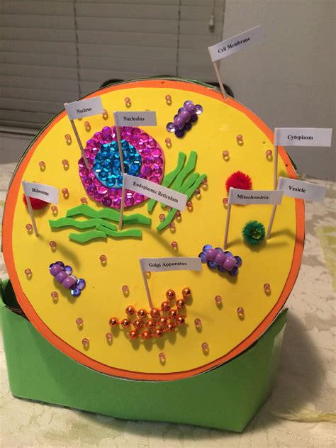 3D Animal Cell Biology Project | Animal cell project, Cells project ...