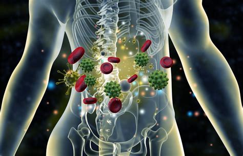 Understanding Sex Differences in Autoimmune Diseases: A New Approach to ...