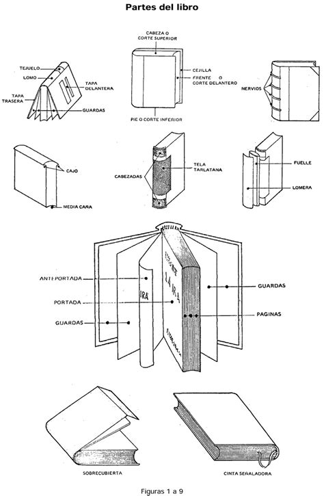 tarlatanas: encuadernación, libro de artista y libros cartoneros