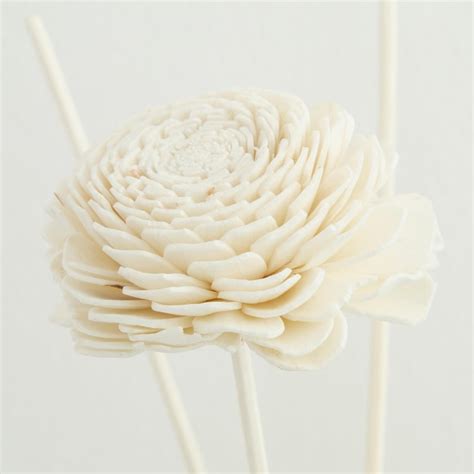 Buy Redolance Premium Reed Diffuser Set - Set of 8 Pcs. from Home ...