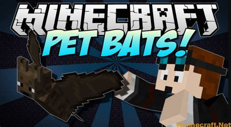 Image result for Bat Mod Install