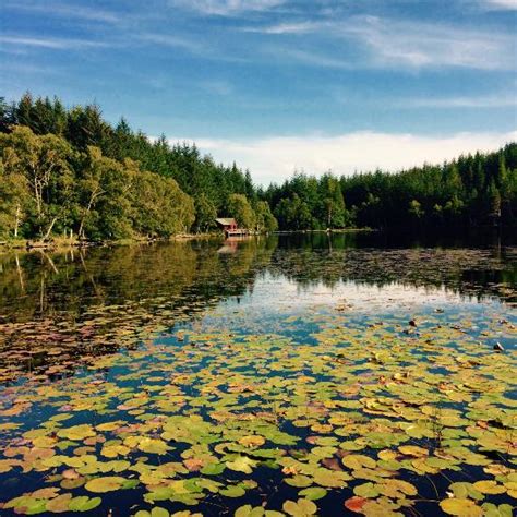 Beauly Tourism (2024): All You Need to Know Before You Go