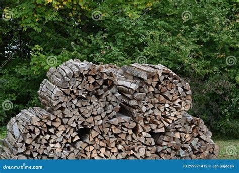Logs of Firewood Bound Together into Big Bundles. There are Five ...