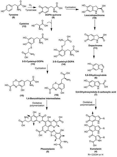 Chemistry and Analysis of Organic Compounds in Dinosaurs