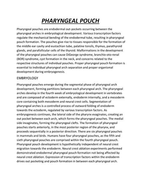 Pharyngeal Pouch - PHARYNGEAL POUCH Pharyngeal pouches are endodermal ...