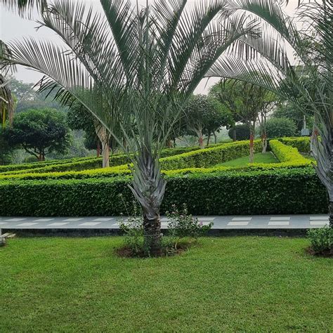 RAJDHANI VATIKA - All You Need to Know BEFORE You Go 2026 (with Photos ...
