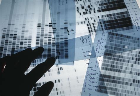 Forensic DNA 的图像结果