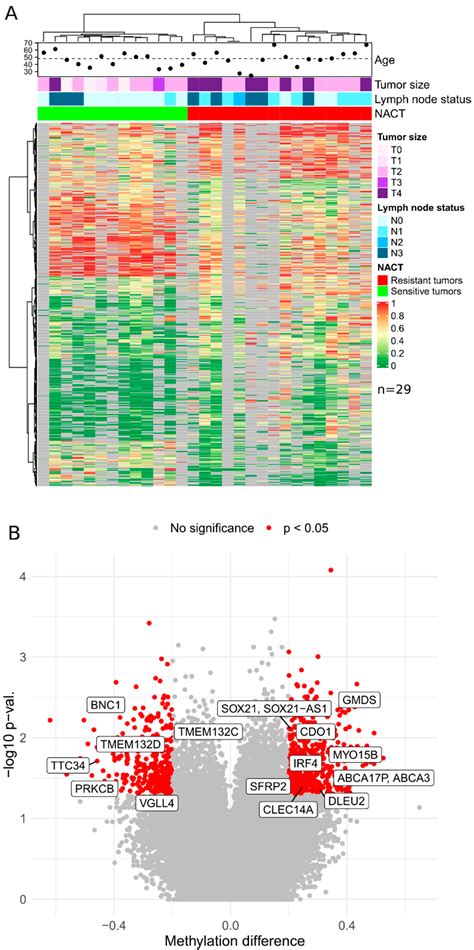 DNA Methylation and Prospects for Predicting the Therapeutic Effect of ...