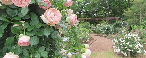 Image result for Visual Perception Components