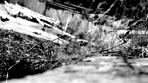 Home by Warsan Shire | Moving Poems