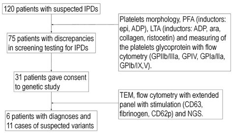 Diagnosing Czech Patients with Inherited Platelet Disorders