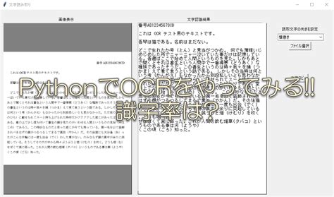 OCR Python 的图像结果