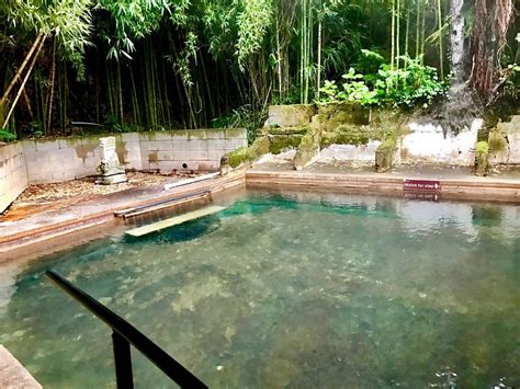 Opal Hot Springs & Holiday Park Pool: Pictures & Reviews - Tripadvisor