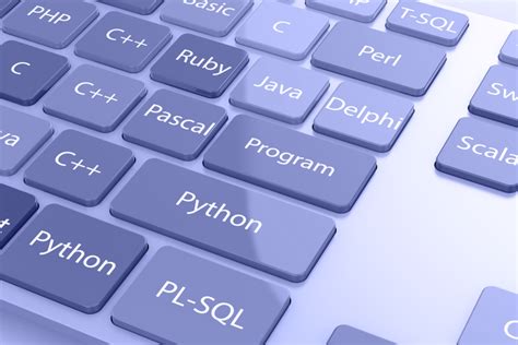 vector robot sdk python programming 的图像结果