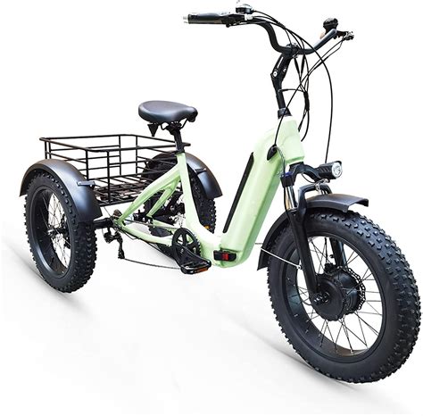 Adult 3-Wheel Electric Bicycle with 48V 11.6A Removable Lithium Battery, Folding Electric ...