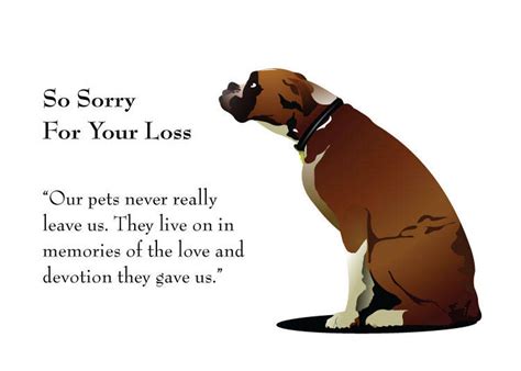 Loss Of Pet Message - Pet Spare