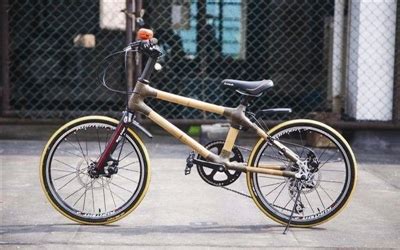 广西小伙用竹子造自行车已售上万台，第一辆就卖了4500元