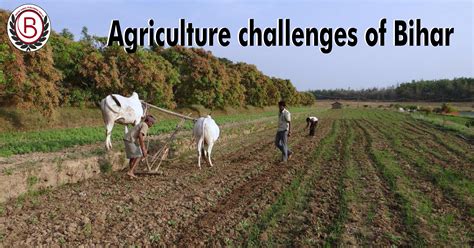 Agriculture In Bihar