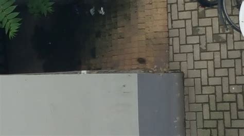 HOTEL AVALEX (Berlin) - Guesthouse Reviews, Photos, Rate Comparison ...