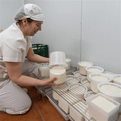 Image result for Making Goat Cheese Process