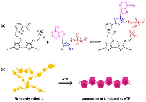 Highly Selective Fluorescence Sensing and Imaging of ATP Using a ...