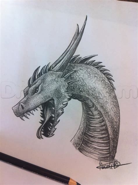 Realistic Dragons Drawings