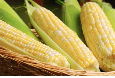 Épluchette de blé ? dInde , 61, Boul Saint-Jean-Baptiste, Châteauguay ...