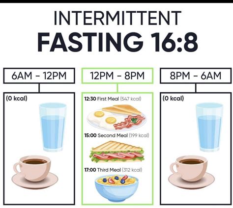 Pinterest | Intermittent fasting, Fasting diet plan, Intermittent fasting diet
