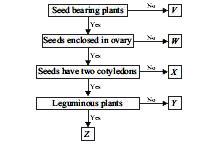 Refer to the given flow chart and select the correct option regarding V ...