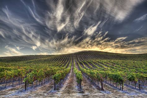10 Places to Visit in Napa Valley - Travel Guide | Wine Enthusiast