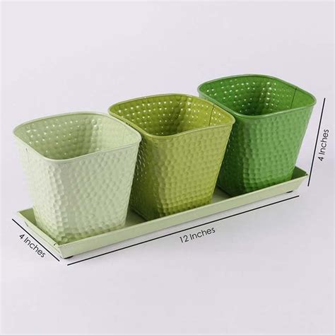 Buy Herb It Here Plantar - Green Online in India | Vaaree